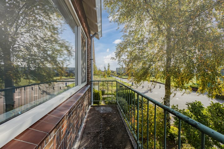 Foto 48 van Jonkheer de Jongestraat 11