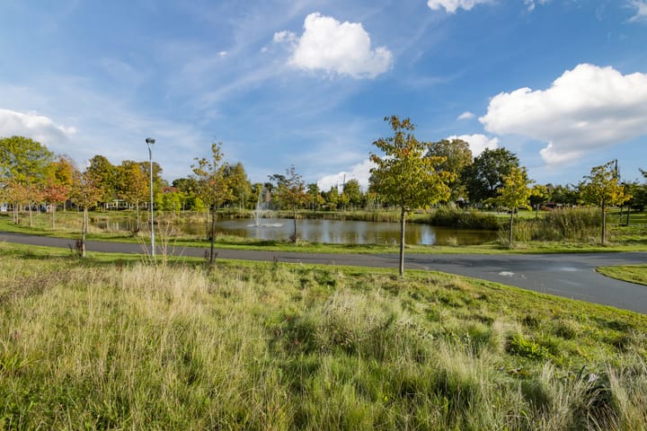 Foto 59 van Jonkheer de Jongestraat 11