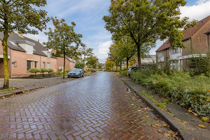 Bekijk foto 36 van van Petersheimstraat 20