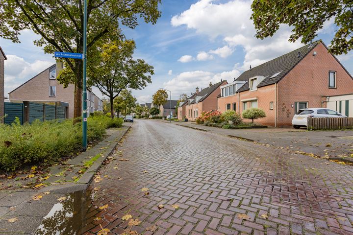 Bekijk foto 38 van van Petersheimstraat 20