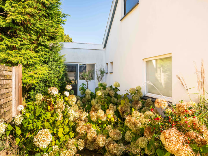 Foto 31 van Jan Jacoblaan 22