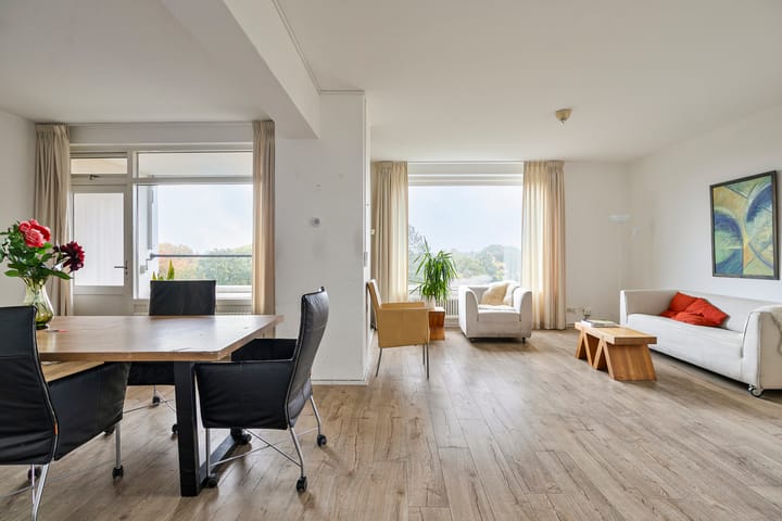 Foto 3 van Goeman Borgesiuslaan 91