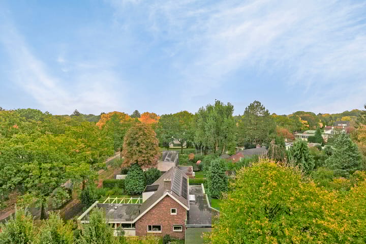 Foto 4 van Goeman Borgesiuslaan 91