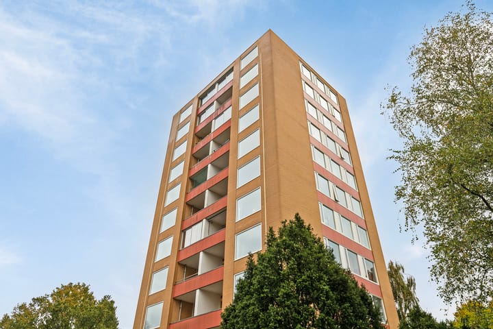 Foto 5 van Goeman Borgesiuslaan 91