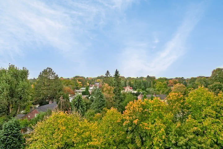 Foto 20 van Goeman Borgesiuslaan 91