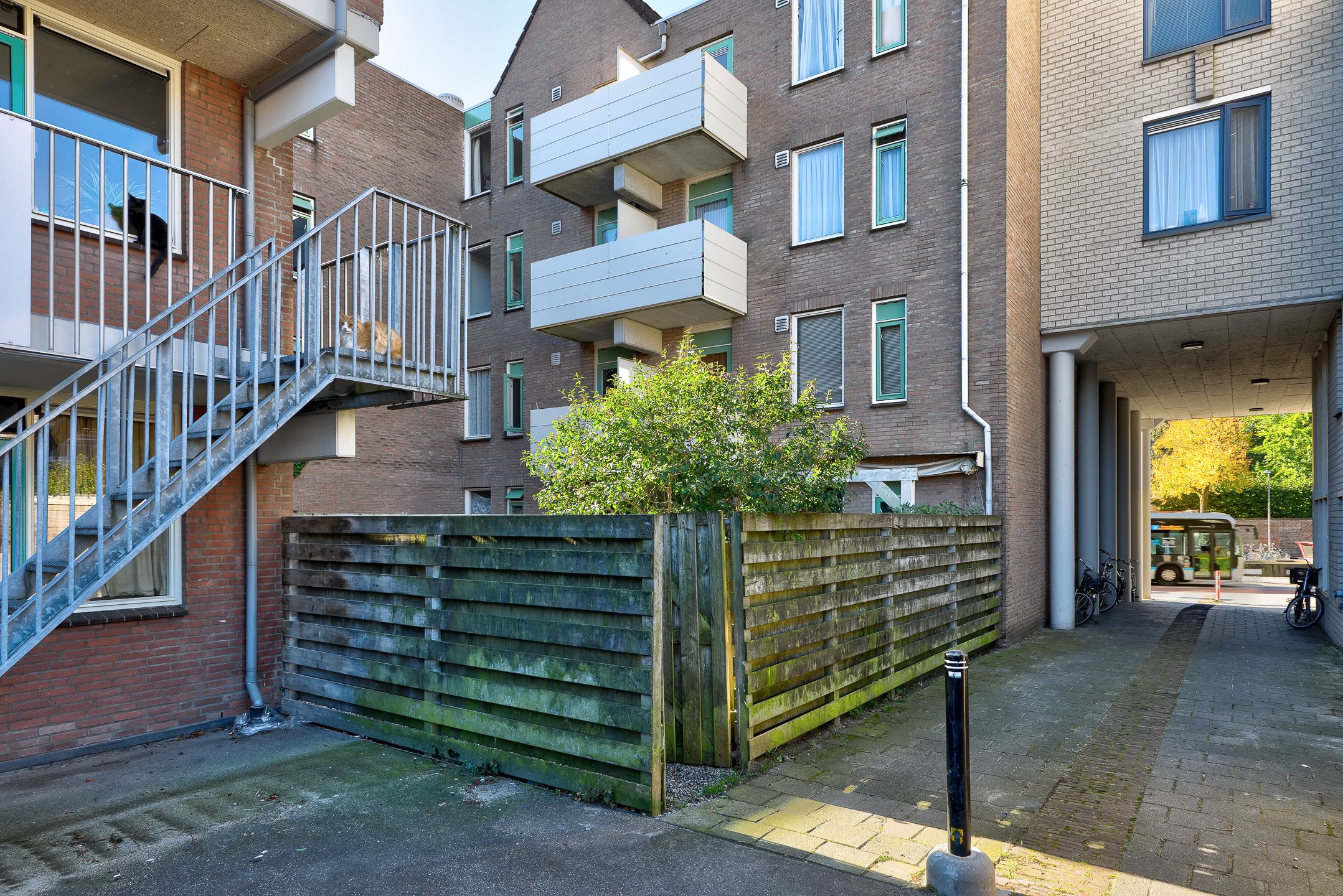 Foto 33 van Turfsingel 52-C