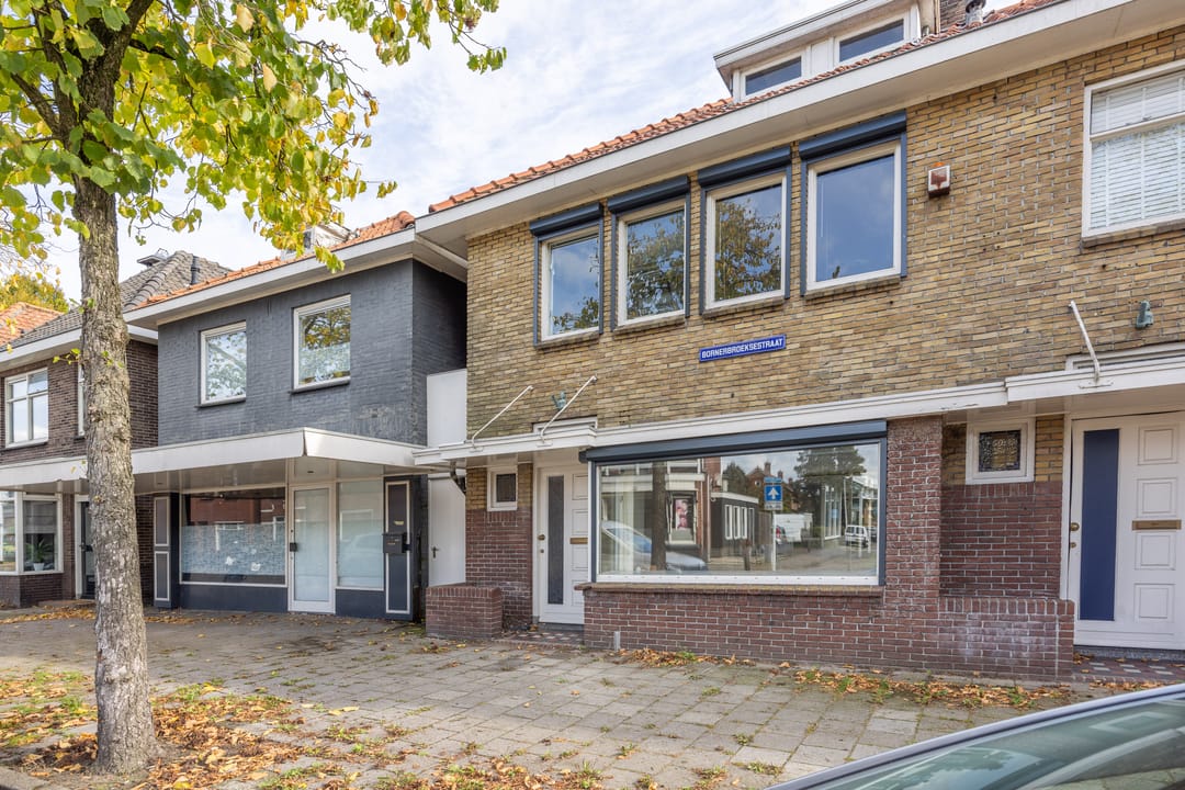 Foto 1 van Bornerbroeksestraat 218