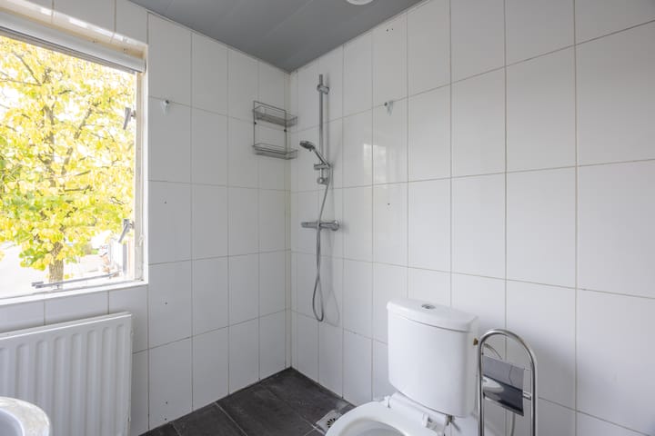 Foto 24 van Bornerbroeksestraat 218