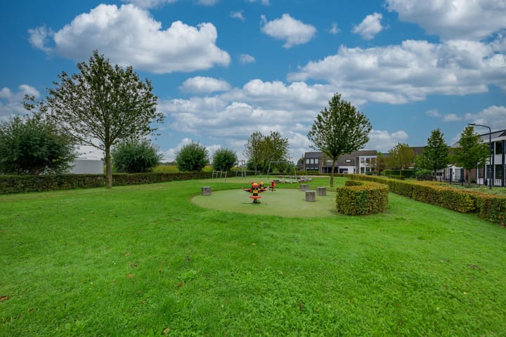 Foto 40 van Meidoorn 42