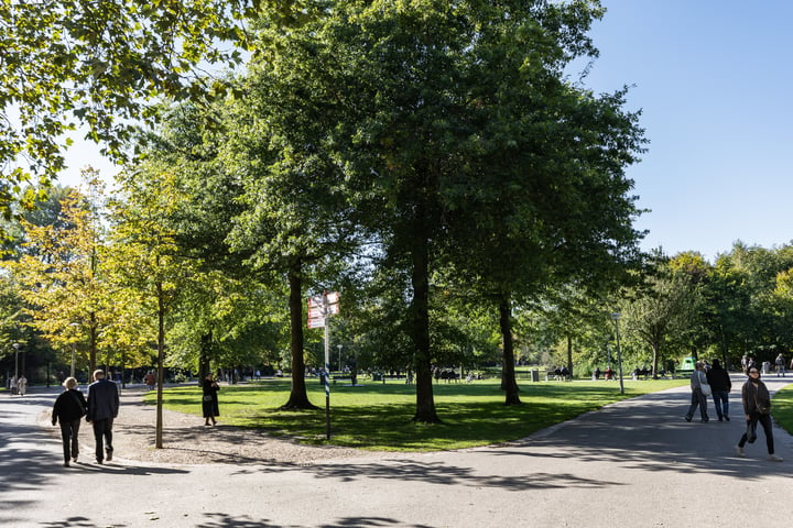 Bekijk foto 36 van Willemsparkweg 111-2