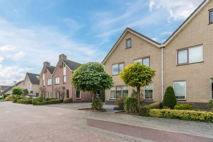 Foto 9 van de Spade 11