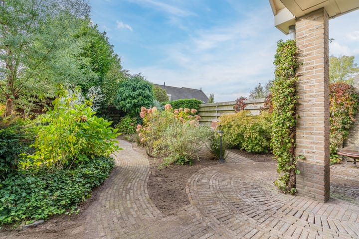 Foto 43 van de Spade 11