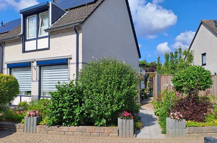 Foto 6 van Dopheidestraat 11