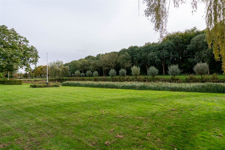 Bekijk foto 34 van Borgerspark 102