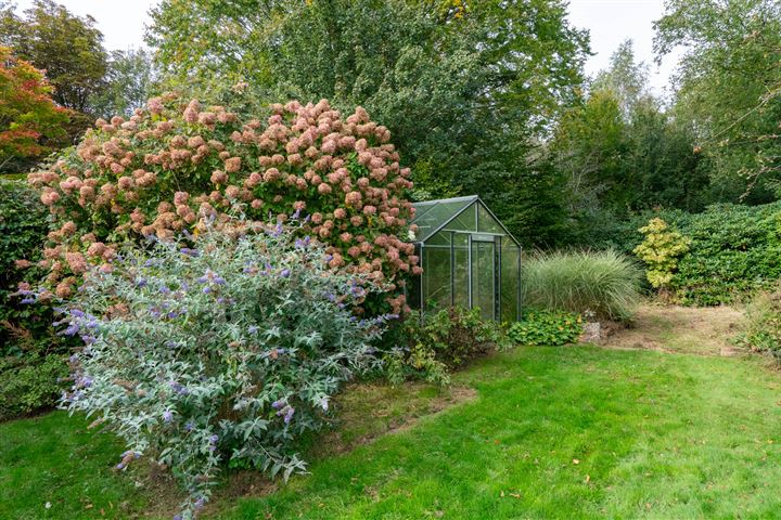 Bekijk foto 40 van Borgerspark 102