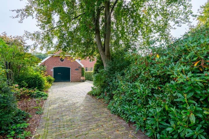 Foto 44 van Borgerspark 102