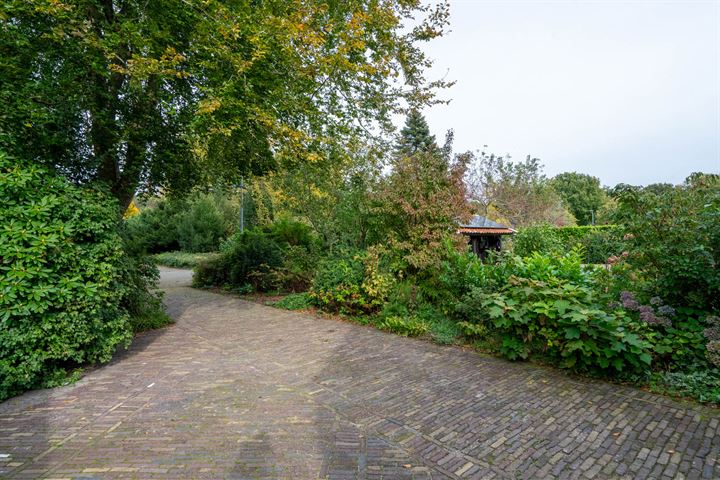 Bekijk foto 46 van Borgerspark 102