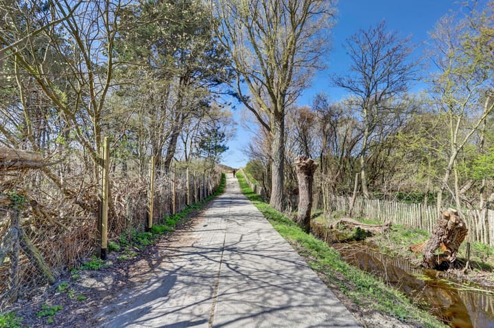 Photo 17 of Strandweg 38