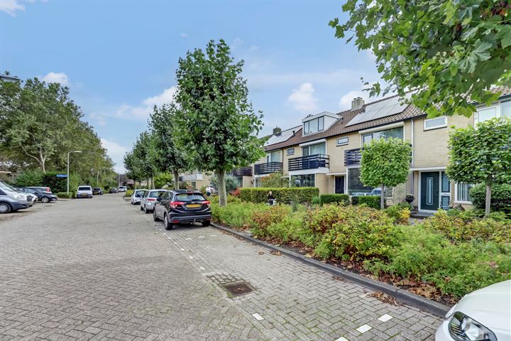 Bekijk foto 50 van van Nijenrodestraat 27