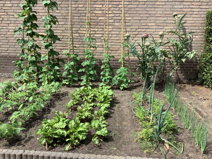 Foto 43 van Achtmorgenstraat 3