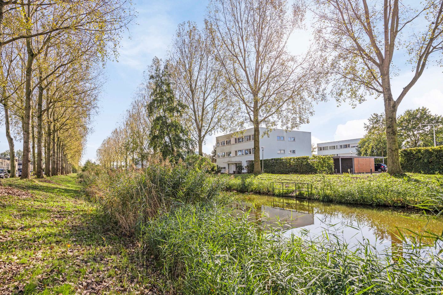 Foto 1 van Schipluidenlaan 143