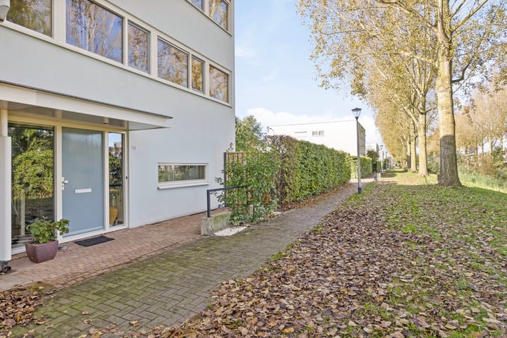 Foto 2 van Schipluidenlaan 143