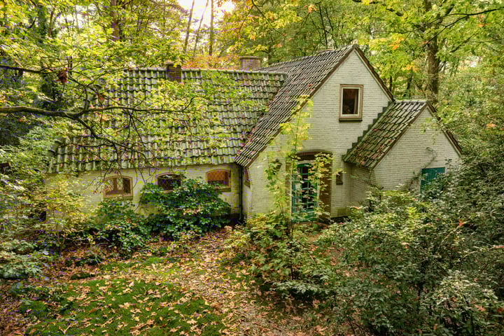 Vossenlaan 1