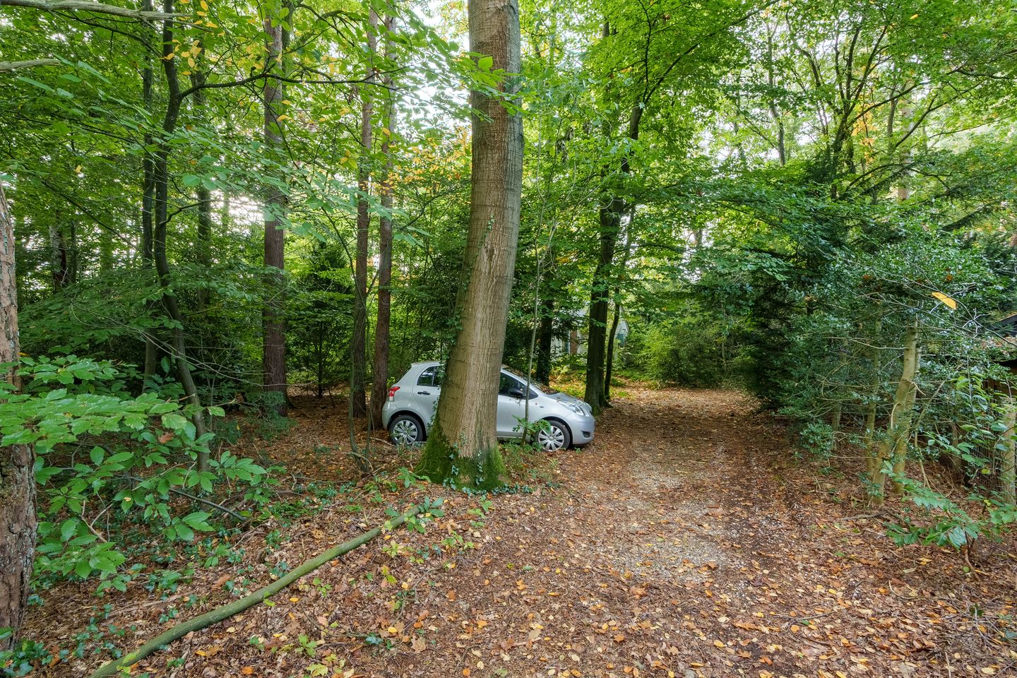 Foto 25 van Vossenlaan 1