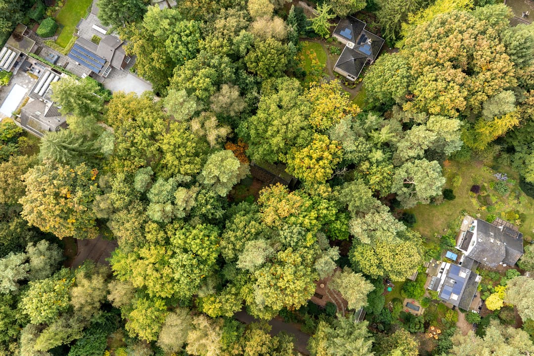 Foto 26 van Vossenlaan 1