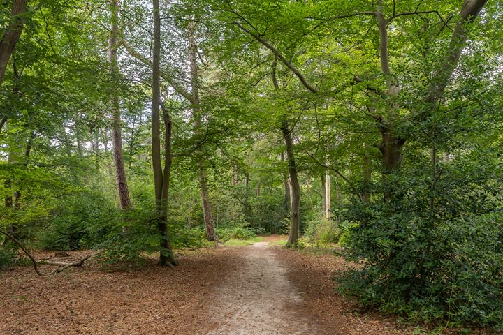 View photo 45 of Arnhemse Bovenweg 7-A