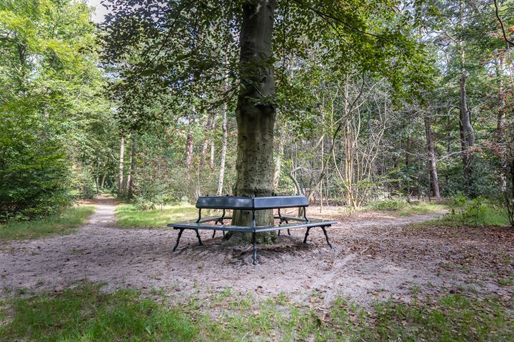 View photo 46 of Arnhemse Bovenweg 7-A