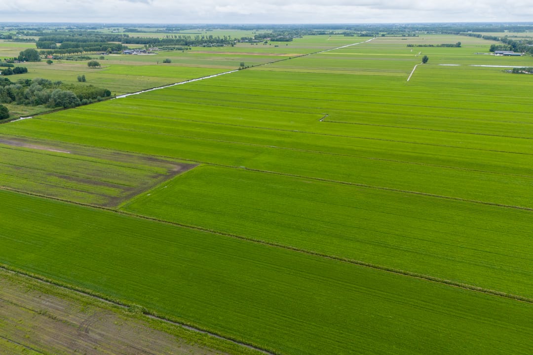 Foto 88 van Dorpsweg 51-B