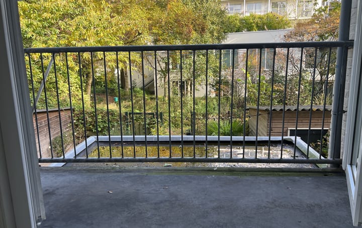 Foto 4 van Houtrijkstraat 304