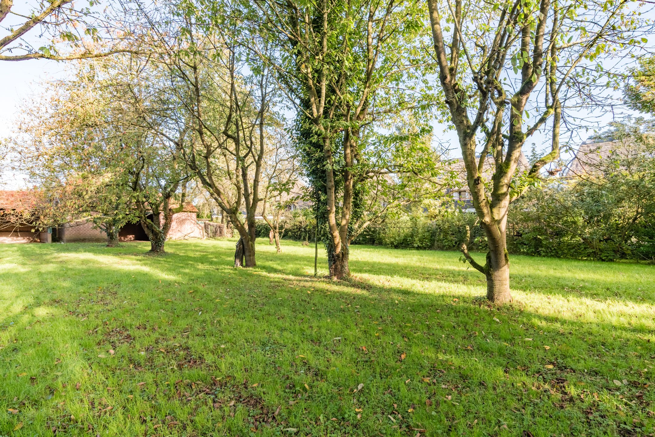 Foto 9 van Mooieweg 23