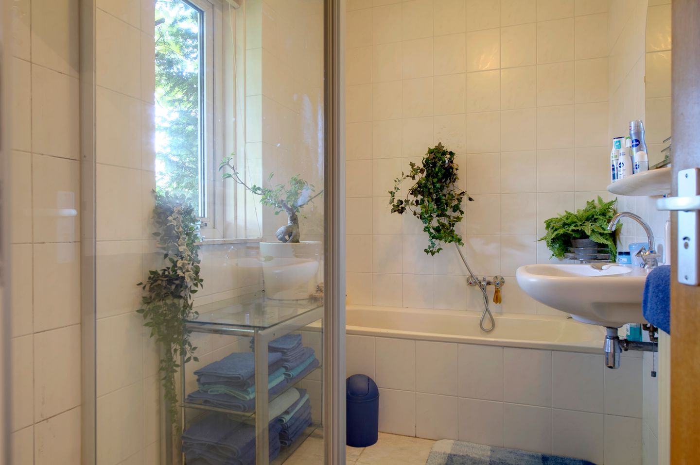 Foto 29 van Boukemahof 15