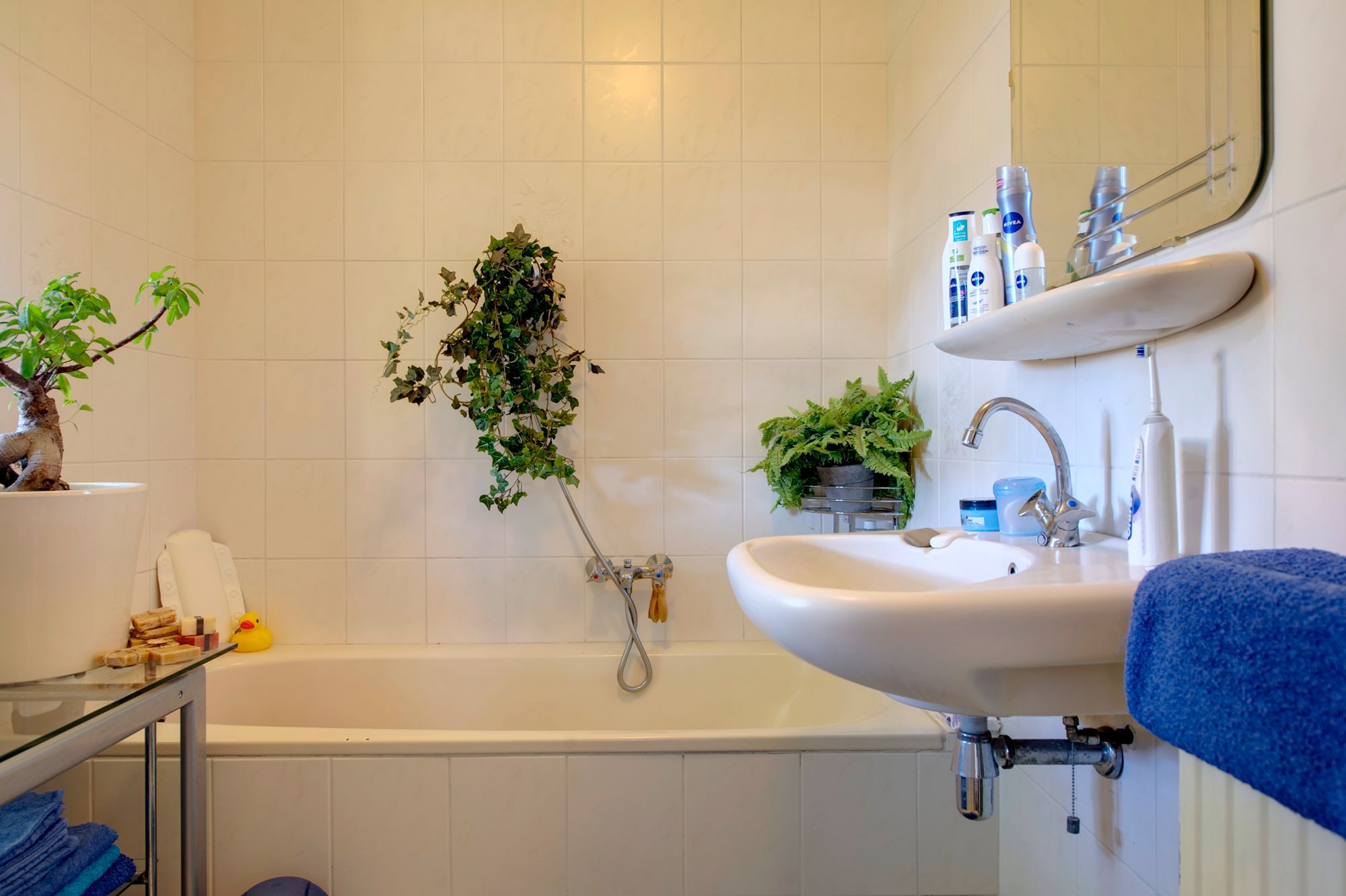 Foto 30 van Boukemahof 15