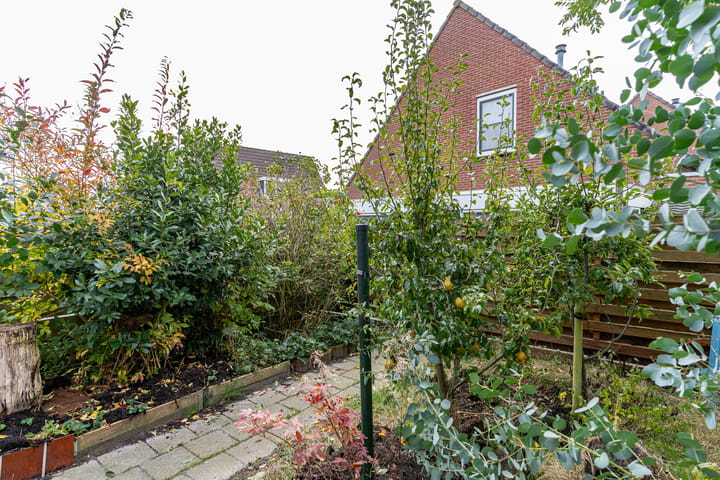 Foto 5 van Stimhússtrjitte 6