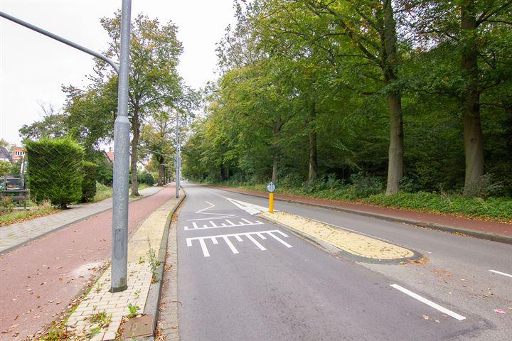 Bekijk foto 53 van Wagenweg 238