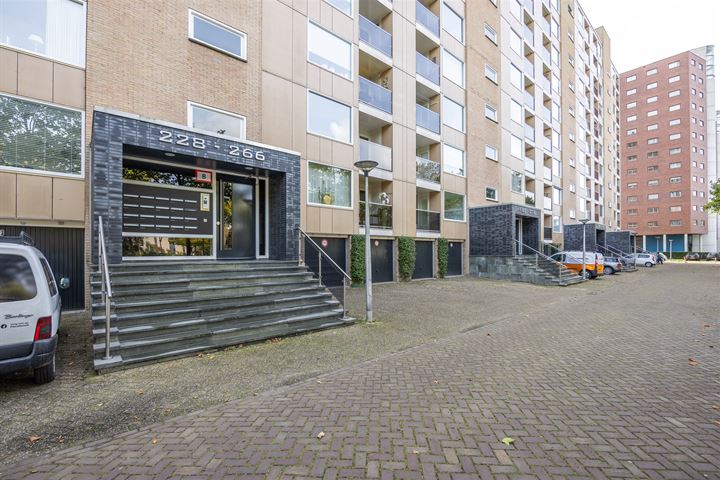 Bekijk foto 36 van Veenstraat 244