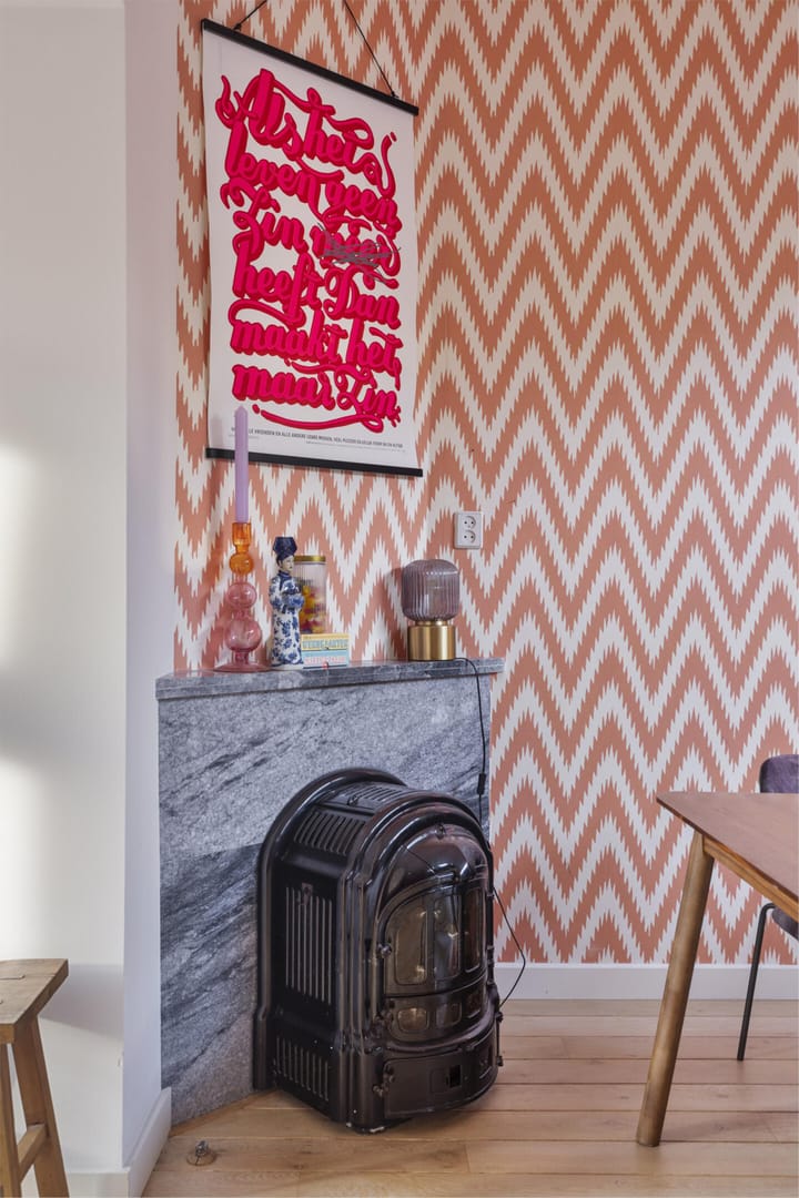 Foto 11 van Mr. van Coothstraat 63