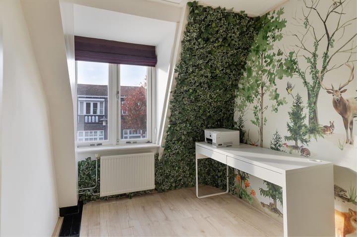 Foto 27 van Mr. van Coothstraat 63