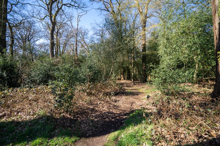 Foto 38 van Beilerstraat 83