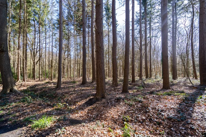 Foto 40 van Beilerstraat 83