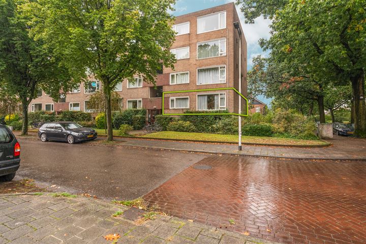 Bekijk foto van Dingostraat 2