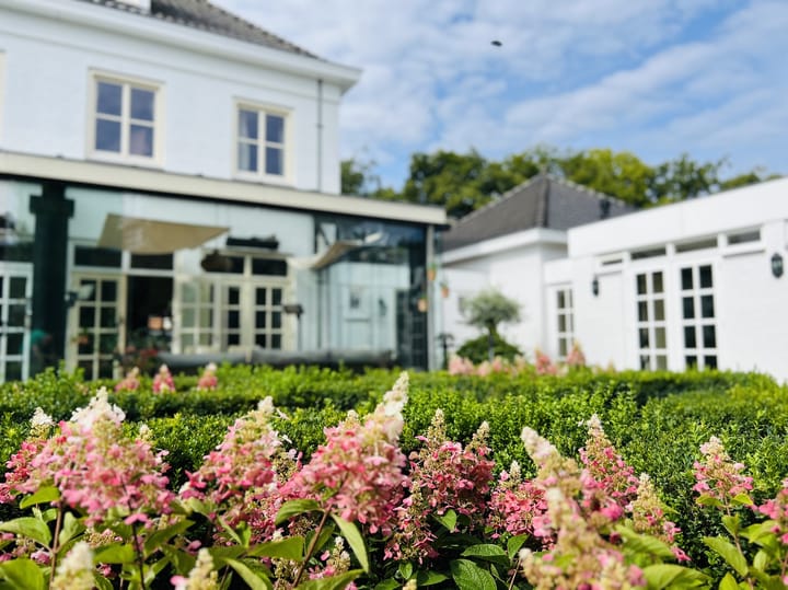 Foto 65 van Schooteindseweg 6