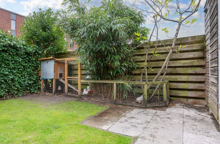 Foto 26 van Fraeylemastraat 13