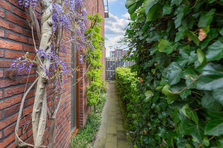 Foto 29 van Fraeylemastraat 13