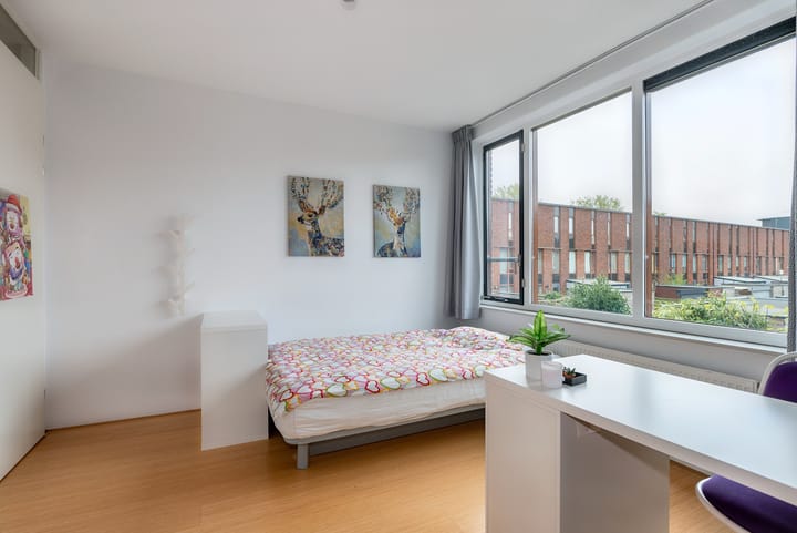 Foto 47 van Fraeylemastraat 13