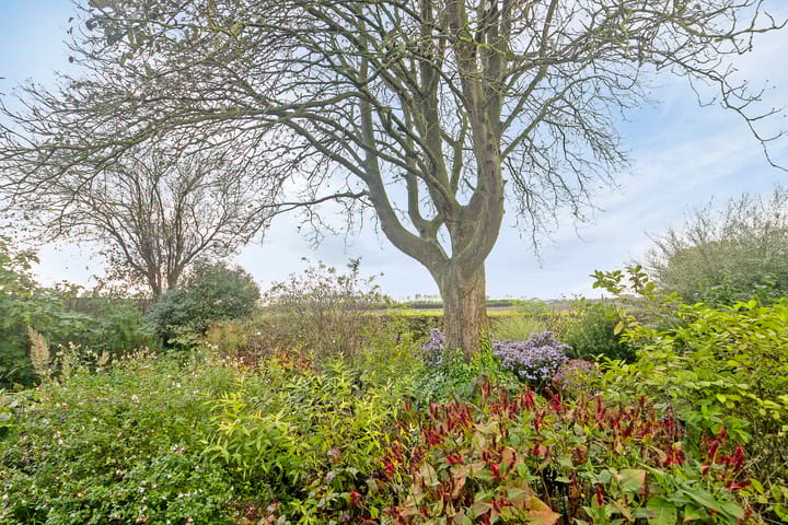 Photo 35 of Sparksstraat 49