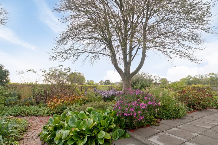 Photo 36 of Sparksstraat 49